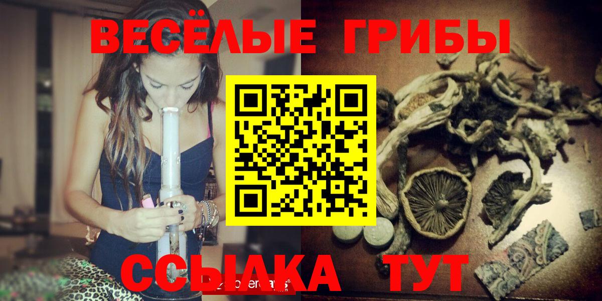магазин продажи наркотиков  Вход с VPN  Норильск  Псилоцибиновые грибы прущие грибы  Галлюциногенные грибы мухоморы 