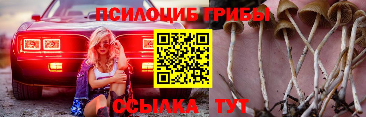 Псилоцибиновые грибы прущие грибы Норильск